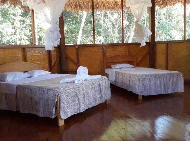 AMAZONIA-RAINFOREST-800x600