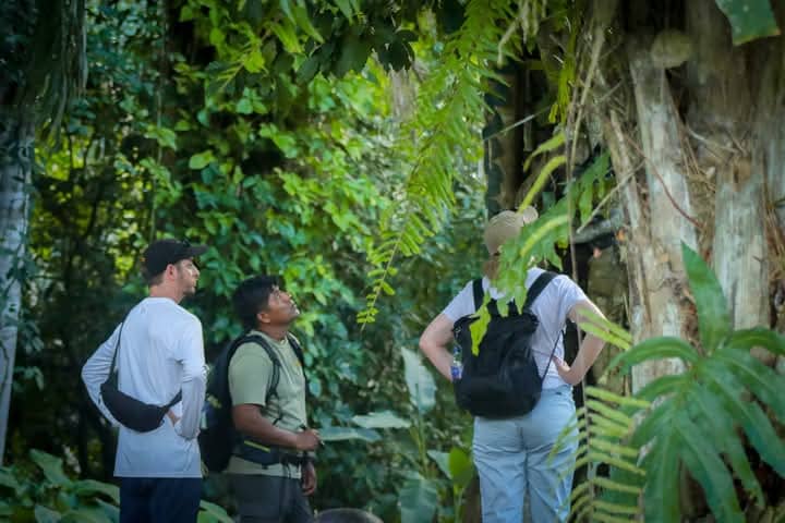 Tour Expedicion Collpa Chuncho  2 dias