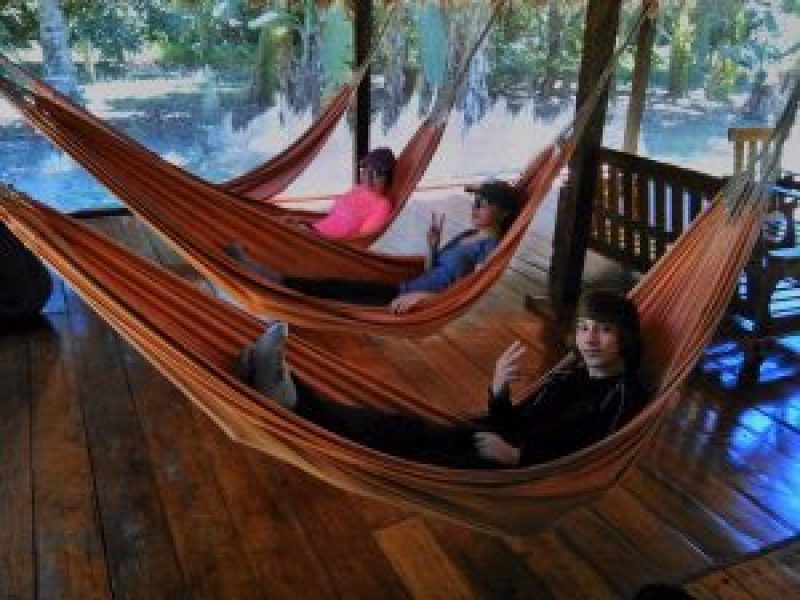 Amazon Wildlife -Sandoval Lake .