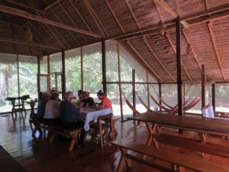 Amazon Wildlife -Sandoval Lake