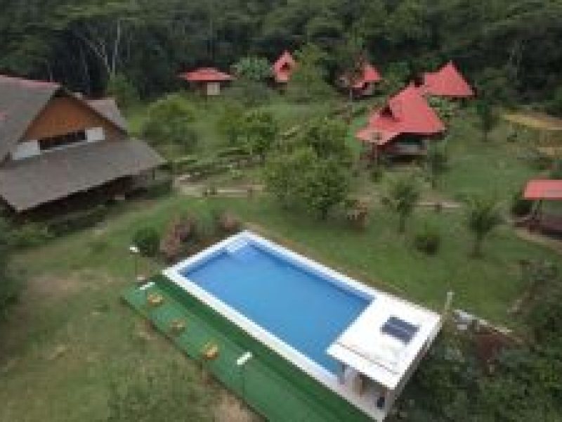 Collpa de Guacamayo Chuncho 4 dias.