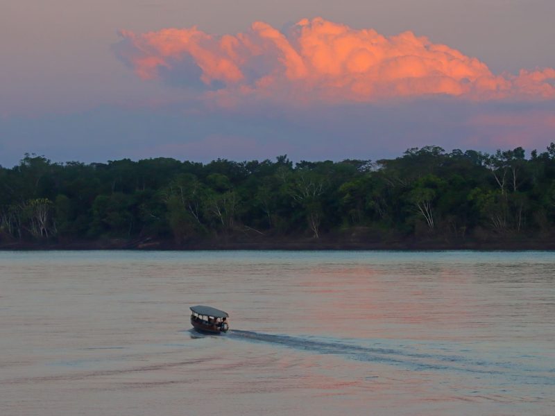 Rainforest Tropical Peru Amazon 4 day