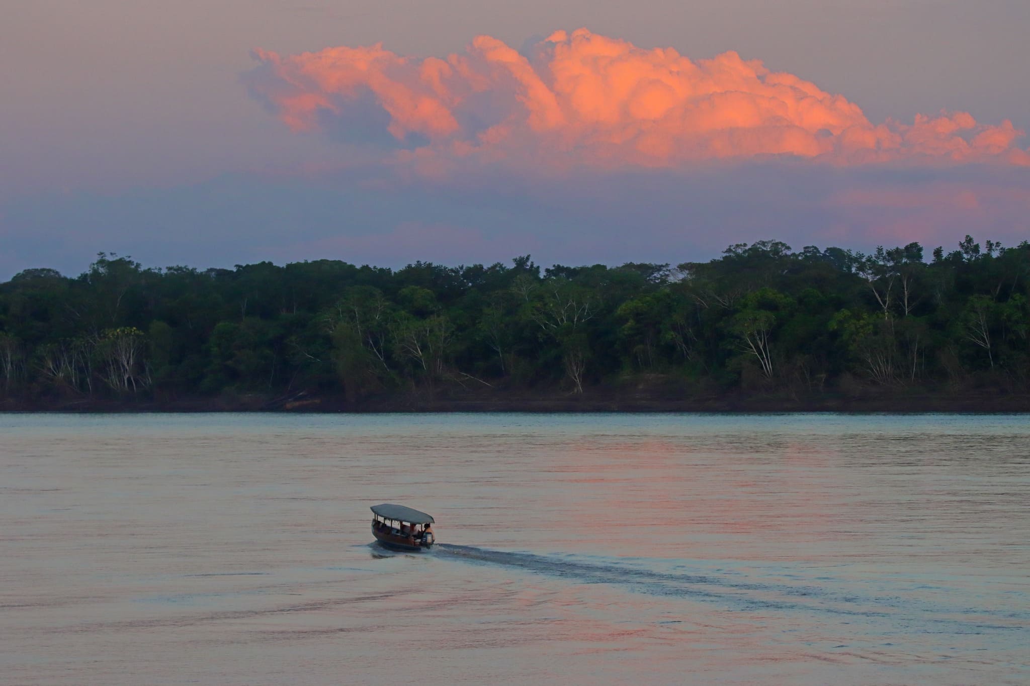 Rainforest Tropical Peru Amazon 4 day