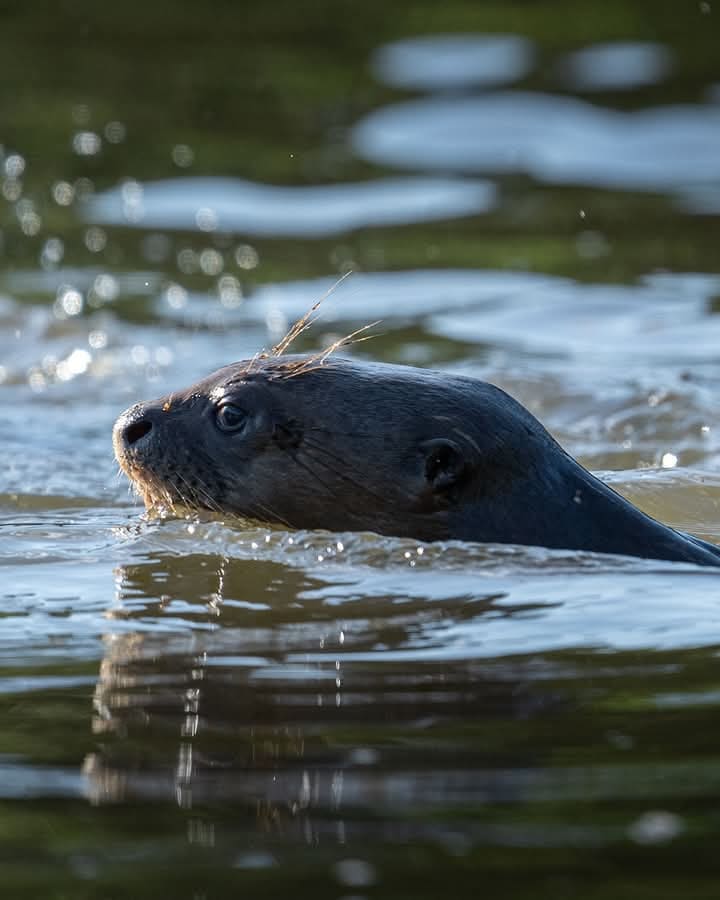 Tour Selva Lago Sandoval 2 dias