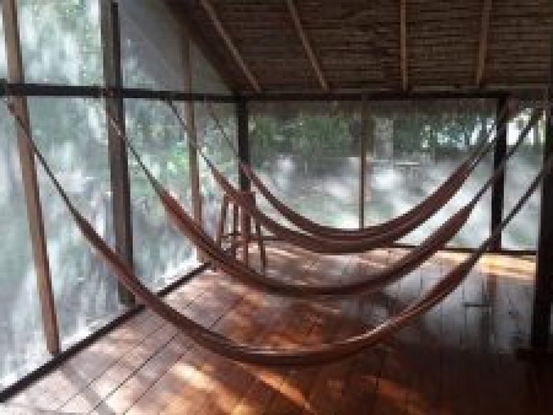 casa-sandoval-lodge-Amazon Wildlife -Sandoval Lake