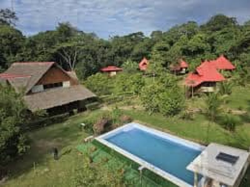 Chuncho Macaw Clay Lick 4-Day