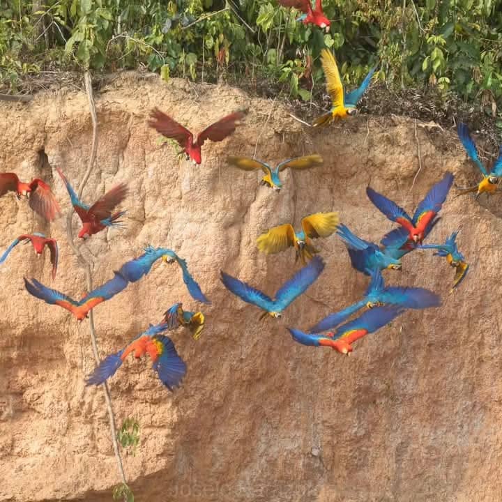 Un Viaje Amazonia Peru  1 dia