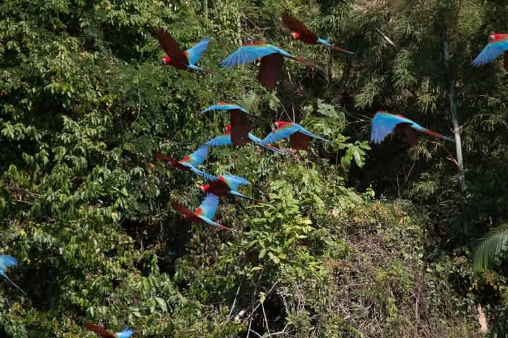 Mejor Tour Zona Reservada 7 Dias