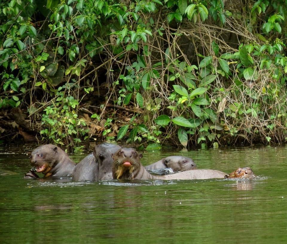 Eco Tambo Lodge Lago Sandoval