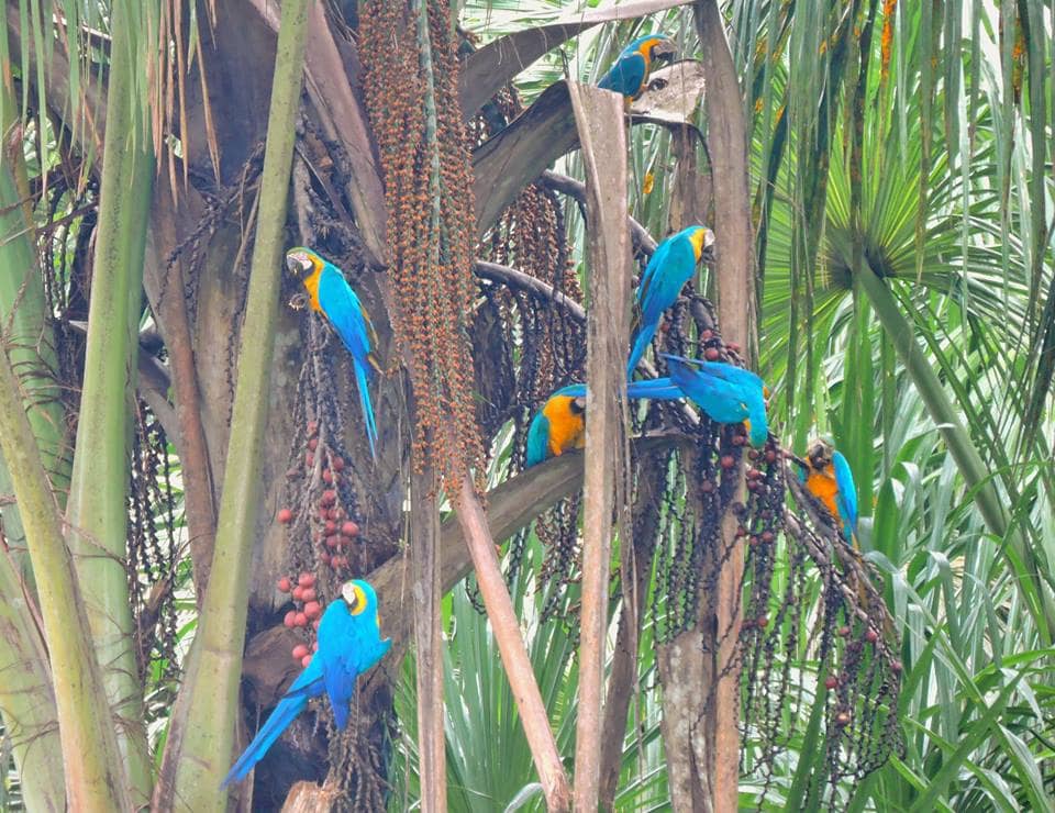 The Trips Sandoval Lake