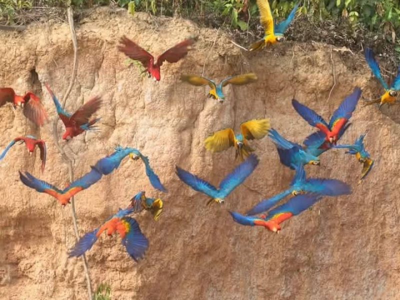 Un Viaje Amazonia Peru 1 dia