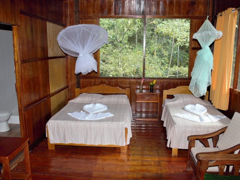 Best Amazon Tours in Peru 5 days,.