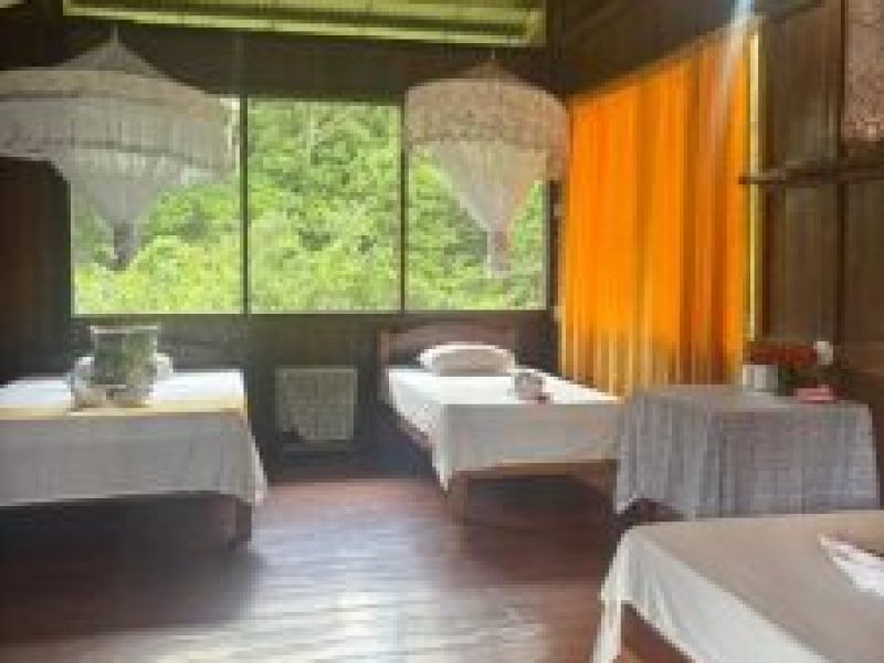 te Viaje Amazonia Tour Amazonas 5 dias