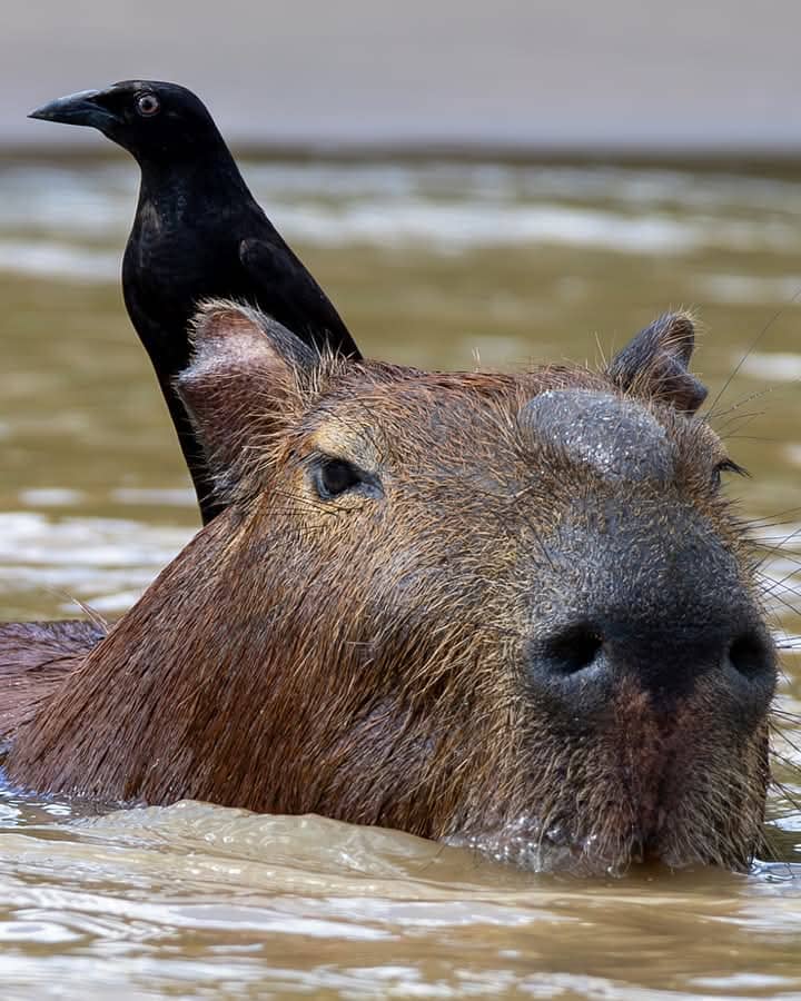 El Tour Manu Reservado 6 días